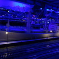 20161204 182258-Hamburg