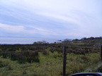 20120501 133618 Irland