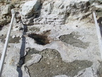 20110320 114849 Neuseeland