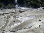 20110320 114943 Neuseeland