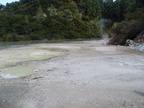20110320 115440 Neuseeland