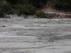 20110320 115953 Neuseeland