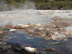 20110320 120227 Neuseeland