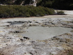 20110320 120331 Neuseeland
