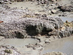 20110320 120338 Neuseeland