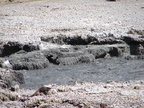 20110320 120347 Neuseeland