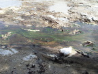 20110320 120401 Neuseeland