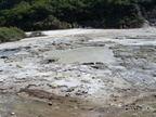20110320 120451 Neuseeland