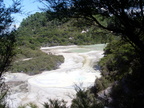 20110320 121952 Neuseeland