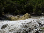 20110320 122132 Neuseeland