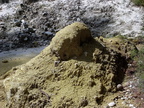 20110320 122137 Neuseeland