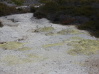 20110320 122940 Neuseeland