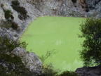 20110320 123749 Neuseeland