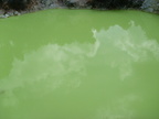 20110320 123825 Neuseeland