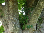 20110320 145236 Neuseeland