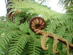 20110320 145558 Neuseeland