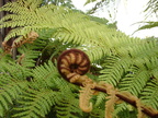 20110320 145622 Neuseeland