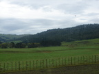 20110321 095748 Neuseeland