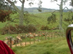 20110321 095847 Neuseeland