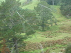 20110321 095922 Neuseeland
