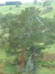 20110321 095937 Neuseeland