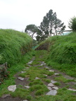 20110321 101659 Neuseeland