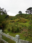 20110321 101925 Neuseeland