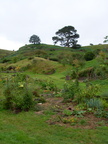 20110321 102017 Neuseeland