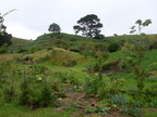 20110321 102020 Neuseeland