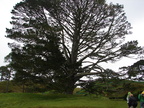20110321 102456 Neuseeland