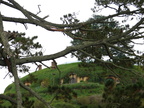 20110321 102521 Neuseeland