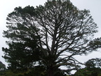 20110321 102706 Neuseeland