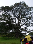 20110321 102710 Neuseeland