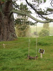 20110321 103024 Neuseeland
