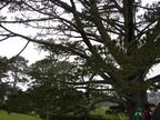 20110321 103112 Neuseeland