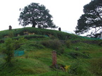 20110321 104310 Neuseeland