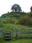 20110321 104840 Neuseeland