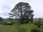 20110321 105200 Neuseeland
