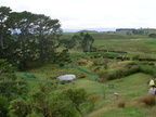 20110321 105743 Neuseeland