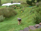 20110321 105904 Neuseeland