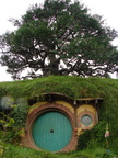 20110321 110327 Neuseeland