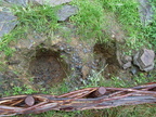 20110321 110328 Neuseeland