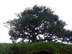 20110321 110455 Neuseeland