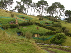 20110321 111029 Neuseeland