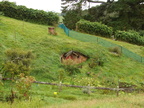 20110321 111407 Neuseeland