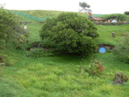 20110321 111449 Neuseeland