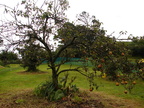 20110321 111832 Neuseeland