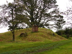 20110321 111841 Neuseeland