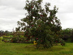 20110321 111854 Neuseeland