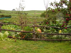 20110321 111935 Neuseeland
